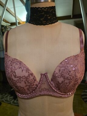 Victoria's Secret Rose Lace Very Sexy Balconet Sz 34D NWT